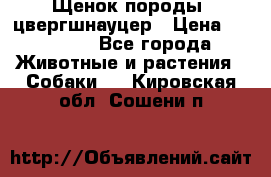 Щенок породы  цвергшнауцер › Цена ­ 30 000 - Все города Животные и растения » Собаки   . Кировская обл.,Сошени п.